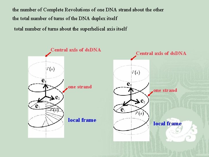 the number of Complete Revolutions of one DNA strand about the other the total