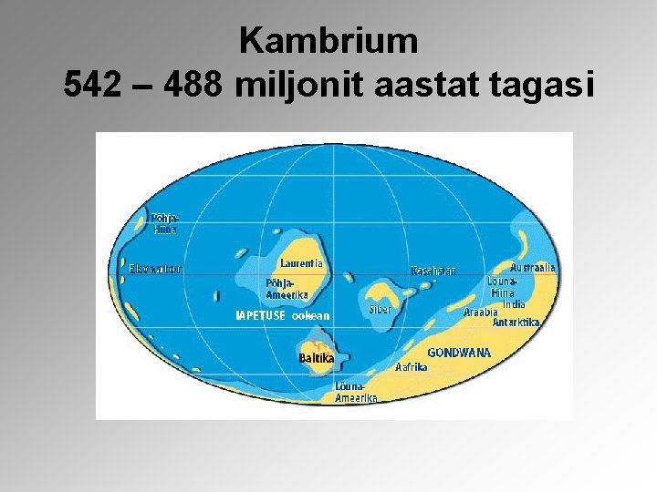 Kambrium 542 – 488 miljonit aastat tagasi 