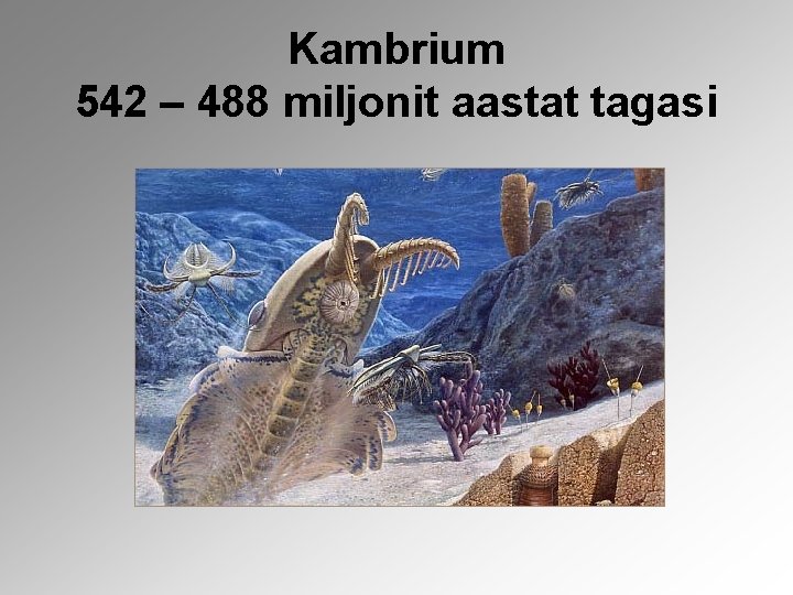 Kambrium 542 – 488 miljonit aastat tagasi 