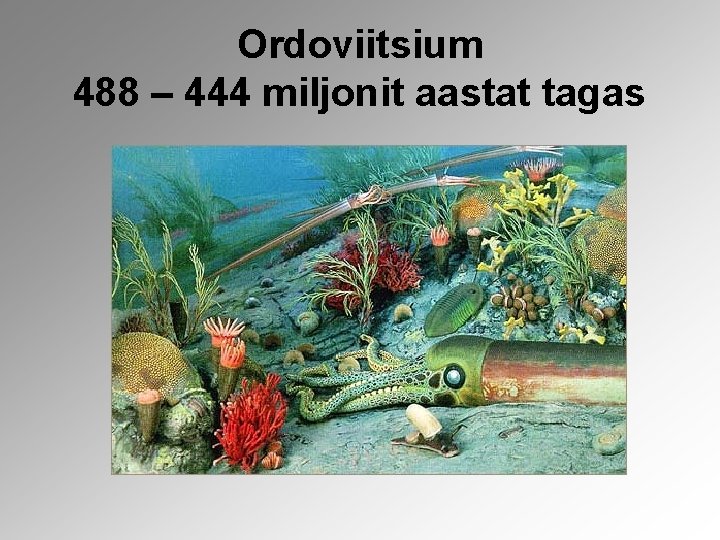 Ordoviitsium 488 – 444 miljonit aastat tagas 