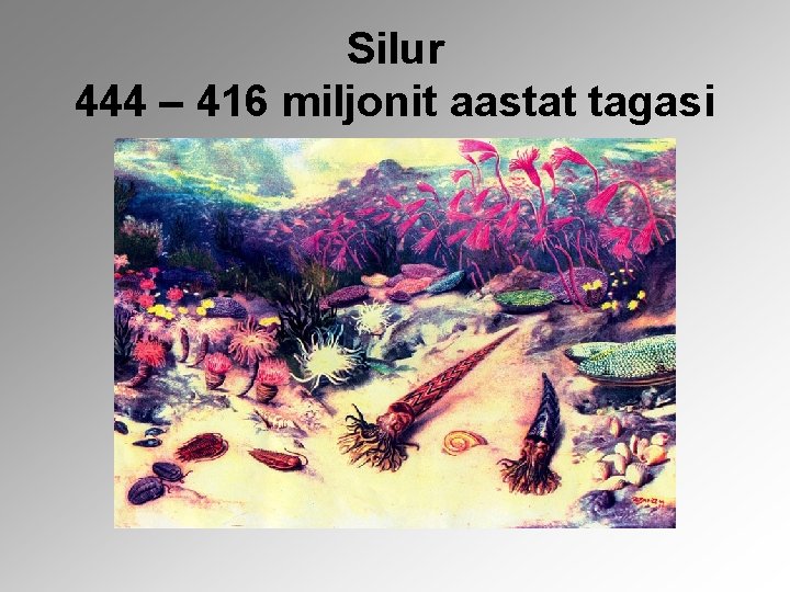 Silur 444 – 416 miljonit aastat tagasi 