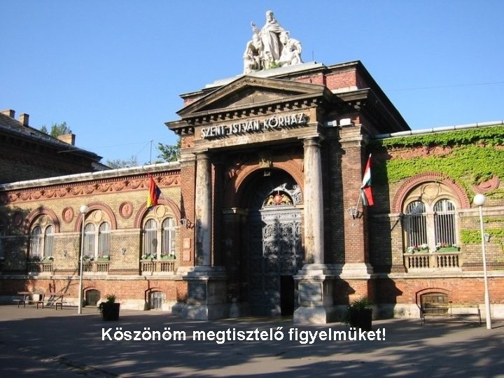 Köszönöm megtisztelő figyelmüket! 