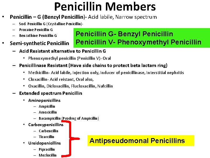 Penicillin Members • Penicillin – G (Benzyl Penicillin)- Acid labile, Narrow spectrum – Sod.