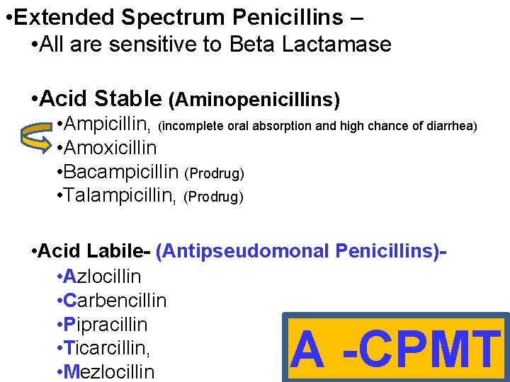  • Extended Spectrum Penicillins – • All are sensitive to Beta Lactamase •