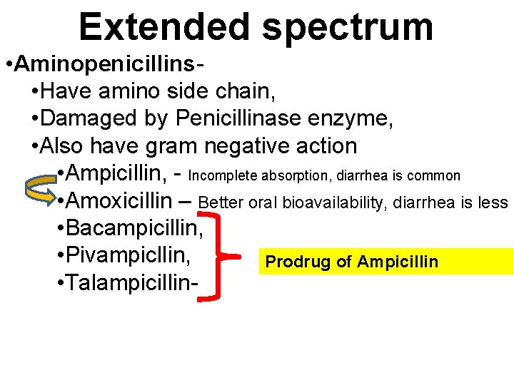 Extended spectrum • Aminopenicillins- • Have amino side chain, • Damaged by Penicillinase enzyme,
