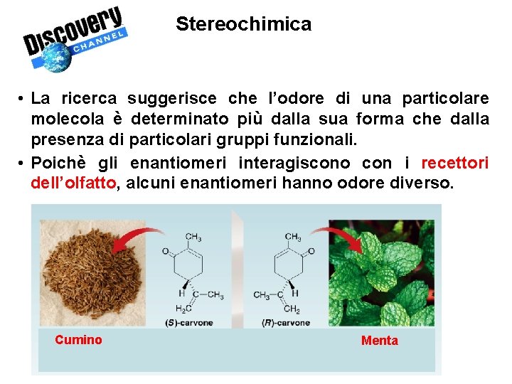 Stereochimica • La ricerca suggerisce che l’odore di una particolare molecola è determinato più Stereochimica • La ricerca suggerisce che l’odore di una particolare molecola è determinato più