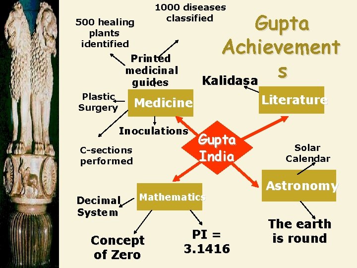 1000 diseases classified 500 healing plants identified Gupta Achievement s Kalidasa Printed medicinal guides