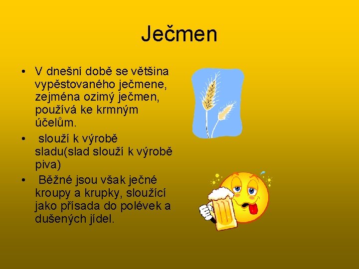 Ječmen • V dnešní době se většina vypěstovaného ječmene, zejména ozimý ječmen, používá ke