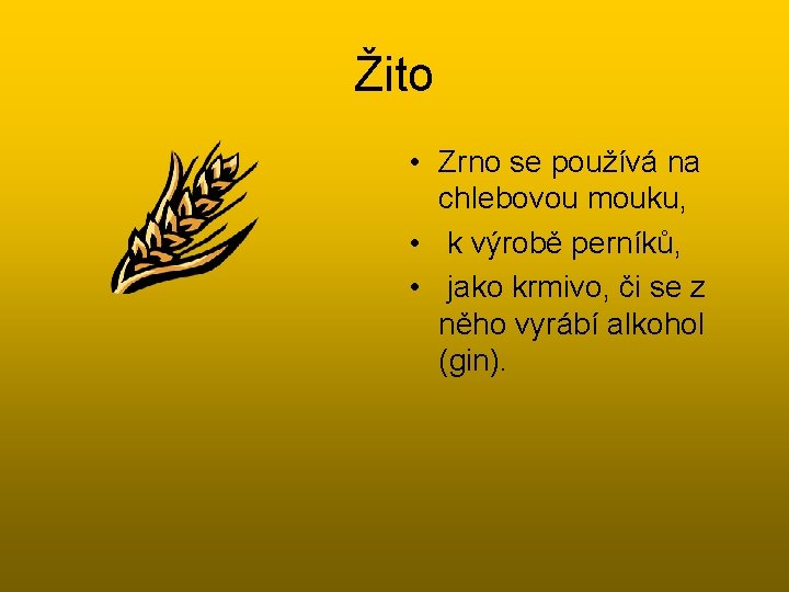 Žito • Zrno se používá na chlebovou mouku, • k výrobě perníků, • jako