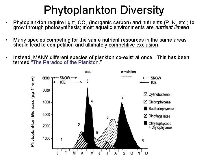 Phytoplankton Diversity • Phytoplankton require light, CO 2 (inorganic carbon) and nutrients (P, N,