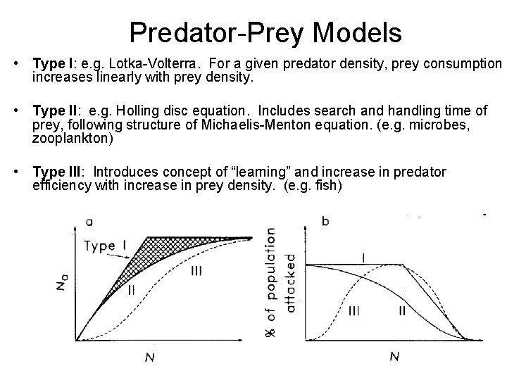 Predator-Prey Models • Type I: e. g. Lotka-Volterra. For a given predator density, prey