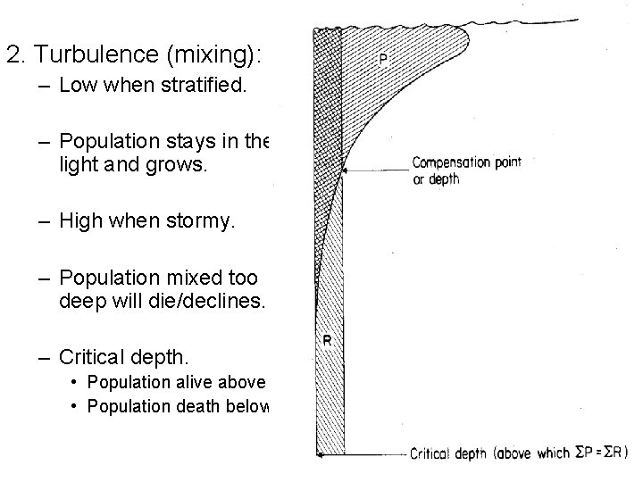 2. Turbulence (mixing): – Low when stratified. – Population stays in the light and