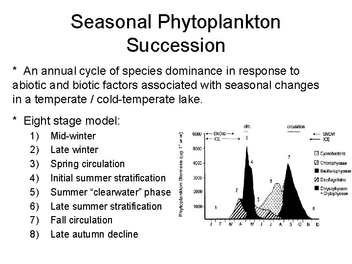 Seasonal Phytoplankton Succession * An annual cycle of species dominance in response to abiotic