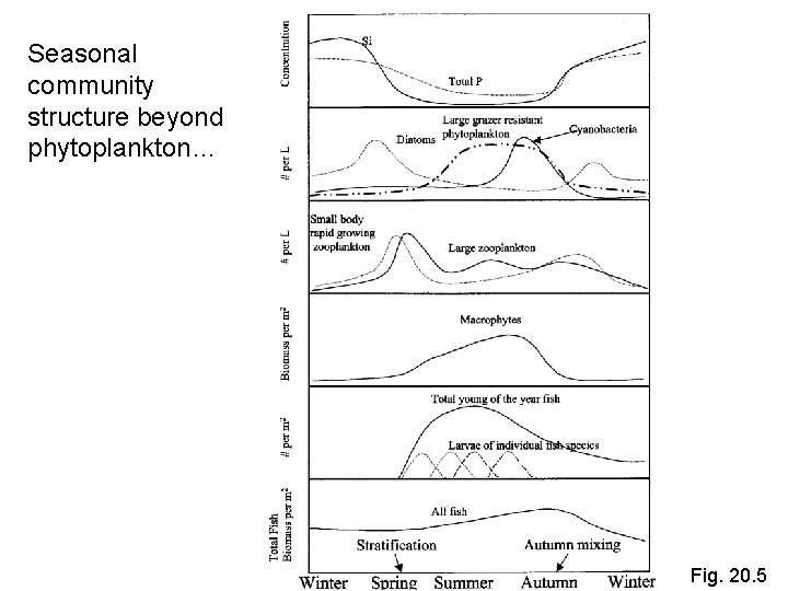Seasonal community structure beyond phytoplankton… Fig. 20. 5 
