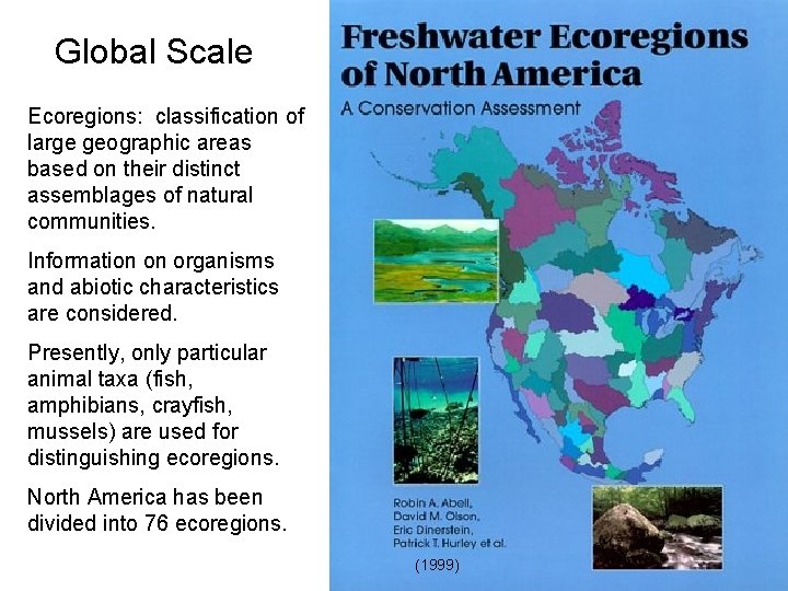 Global Scale Ecoregions: classification of large geographic areas based on their distinct assemblages of