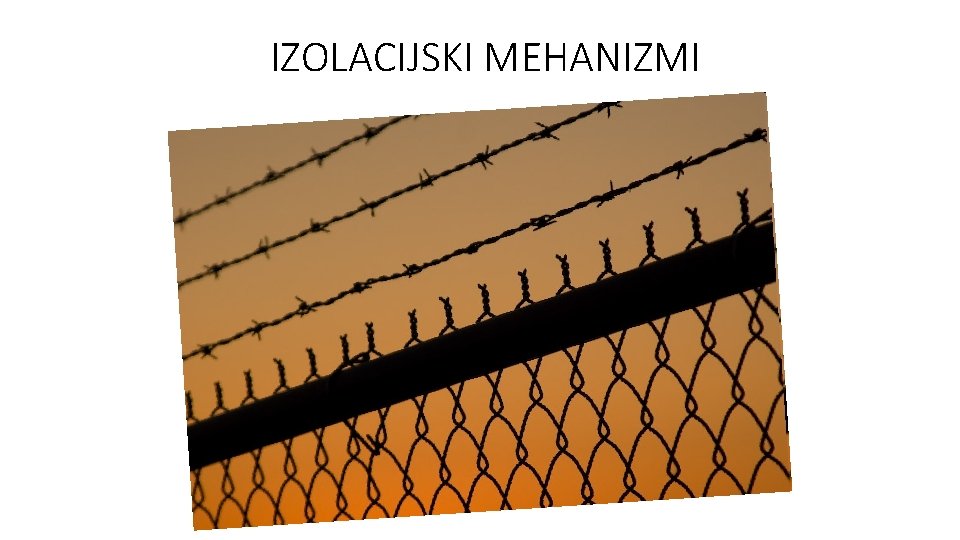 IZOLACIJSKI MEHANIZMI 