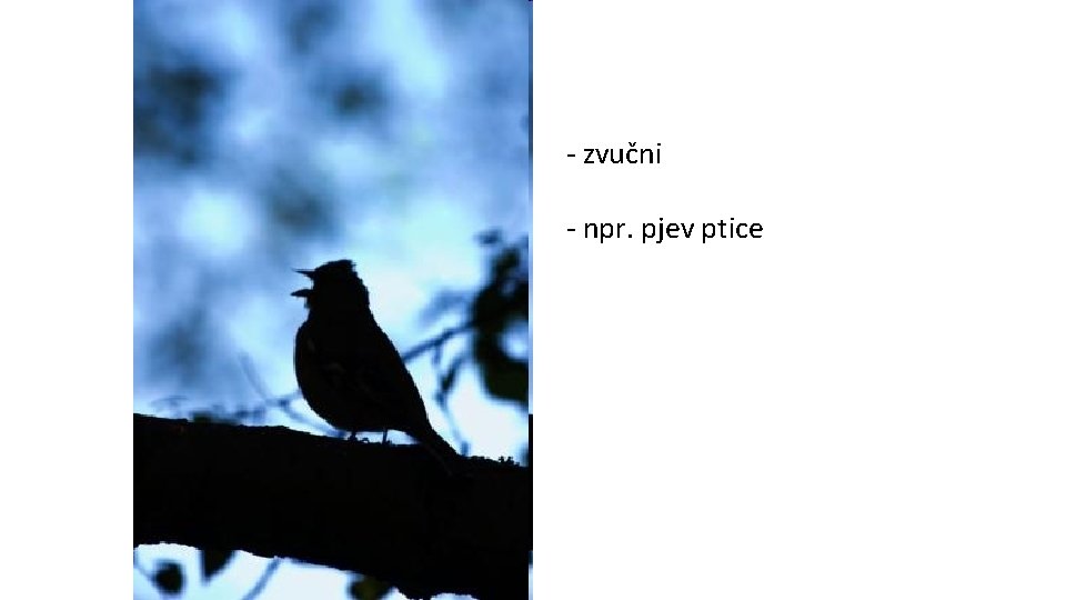 - zvučni - npr. pjev ptice 