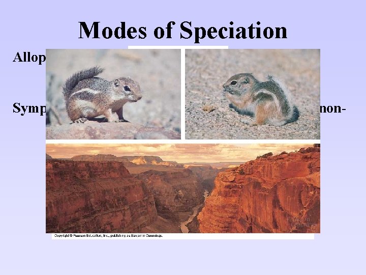 Modes of Speciation Allopatric Speciation: a geographical barrier that isolates populations and prevents gene