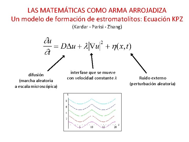 LAS MATEMÁTICAS COMO ARMA ARROJADIZA Un modelo de formación de estromatolitos: Ecuación KPZ (Kardar