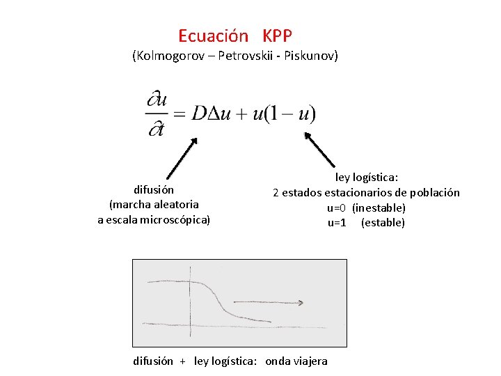 Ecuación KPP (Kolmogorov – Petrovskii - Piskunov) difusión (marcha aleatoria a escala microscópica) ley