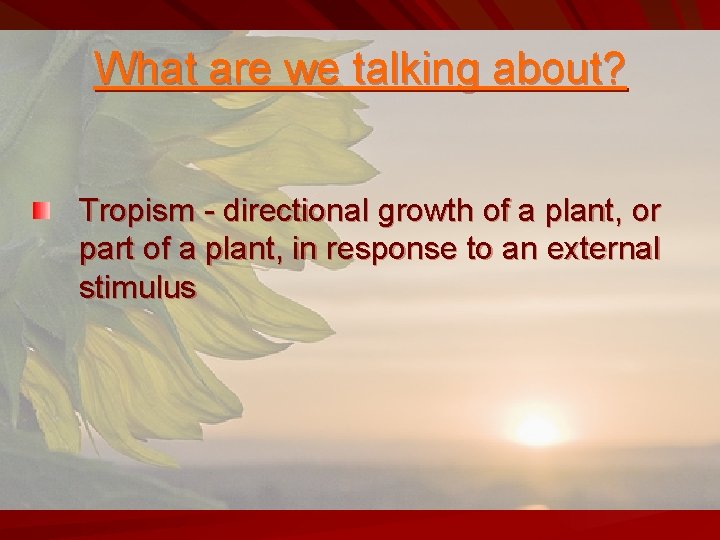 What are we talking about? Tropism - directional growth of a plant, or part