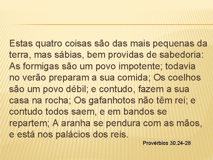 Estas quatro coisas são das mais pequenas da terra, mas sábias, bem providas de