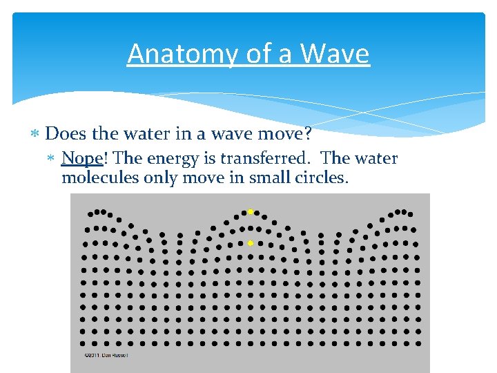 Anatomy of a Wave Does the water in a wave move? Nope! The energy