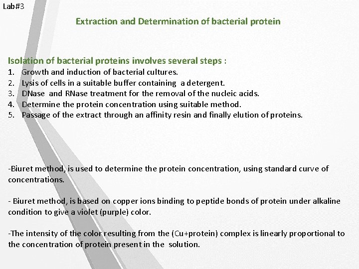 Lab#3 Extraction and Determination of bacterial protein Isolation of bacterial proteins involves several steps