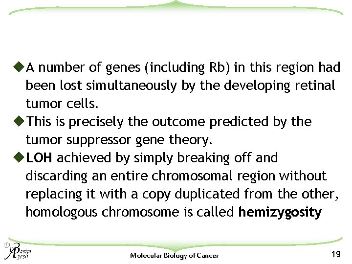 u. A number of genes (including Rb) in this region had been lost simultaneously