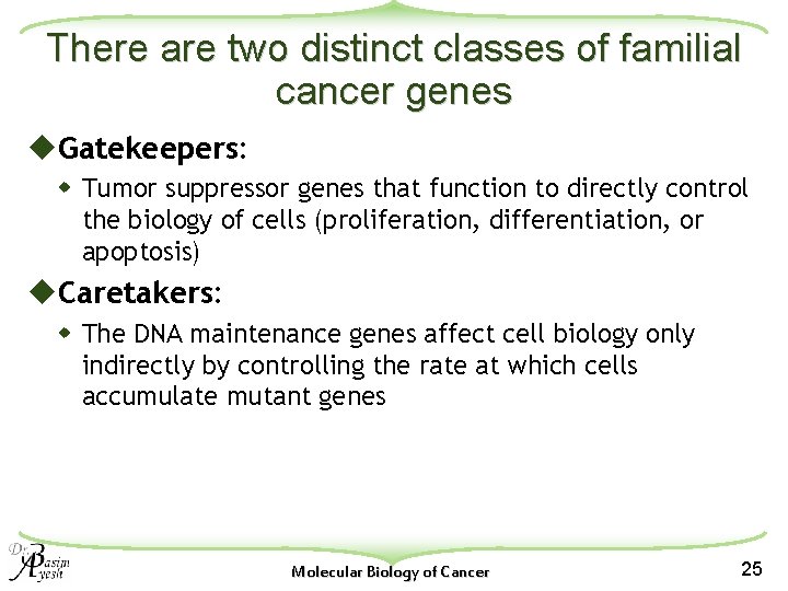 There are two distinct classes of familial cancer genes u. Gatekeepers: w Tumor suppressor