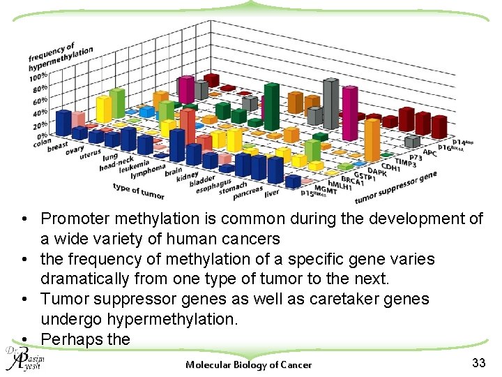  • Promoter methylation is common during the development of a wide variety of