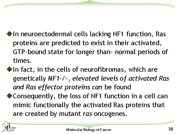 u. In neuroectodermal cells lacking NF 1 function, Ras proteins are predicted to exist