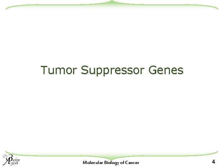 Tumor Suppressor Genes Molecular Biology of Cancer 4 
