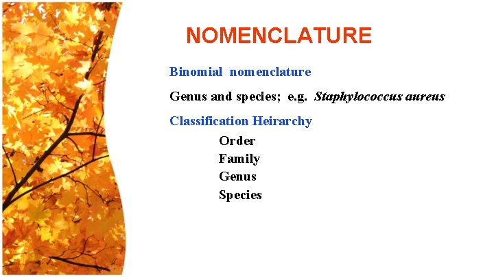 NOMENCLATURE Binomial nomenclature Genus and species; e. g. Staphylococcus aureus Classification Heirarchy Order Family