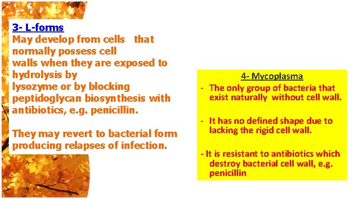 3 - L-forms May develop from cells that normally possess cell walls when they