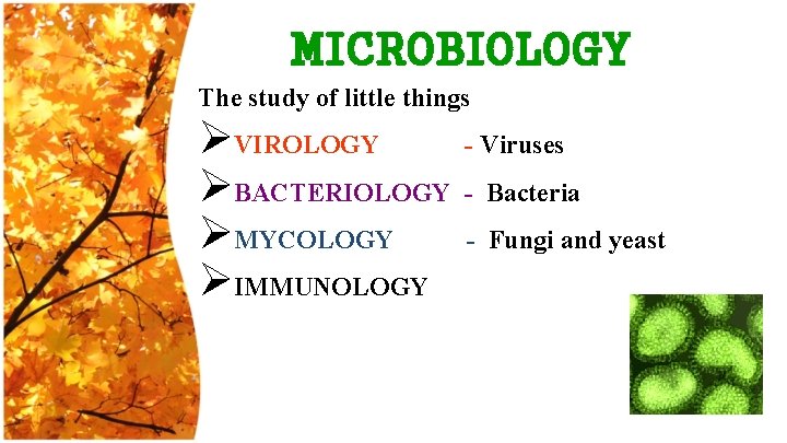 MICROBIOLOGY The study of little things ØVIROLOGY - Viruses ØBACTERIOLOGY - Bacteria ØMYCOLOGY -