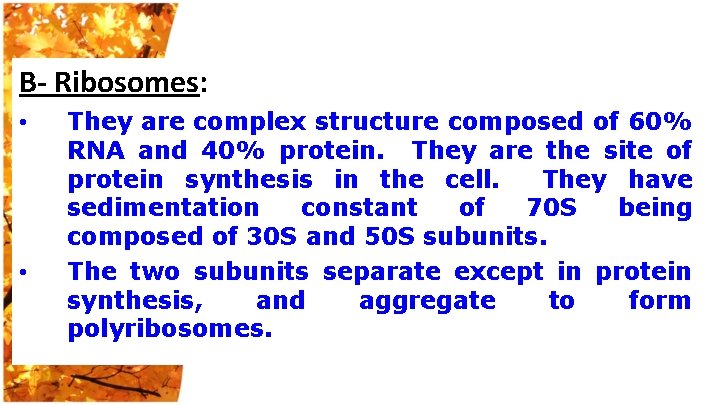 B- Ribosomes: • • They are complex structure composed of 60% RNA and 40%