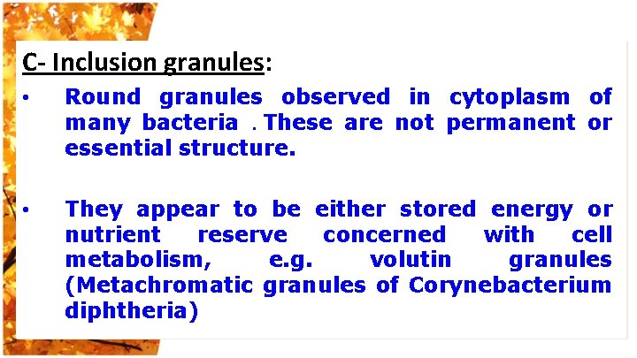 C- Inclusion granules: • Round granules observed in cytoplasm of many bacteria. These are