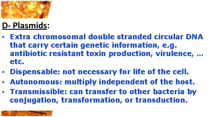 D- Plasmids: • Extra chromosomal double stranded circular DNA that carry certain genetic information,