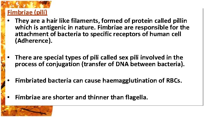 Fimbriae (pili) • They are a hair like filaments, formed of protein called pillin