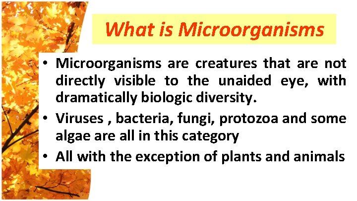 What is Microorganisms • Microorganisms are creatures that are not directly visible to the