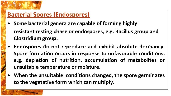 Bacterial Spores (Endospores) • Some bacterial genera are capable of forming highly resistant resting