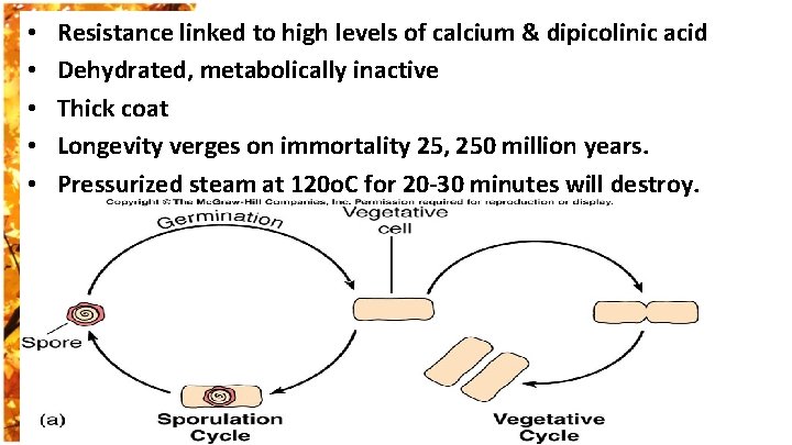  • • • Resistance linked to high levels of calcium & dipicolinic acid