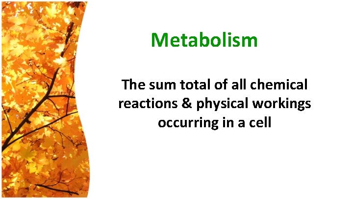 Metabolism The sum total of all chemical reactions & physical workings occurring in a