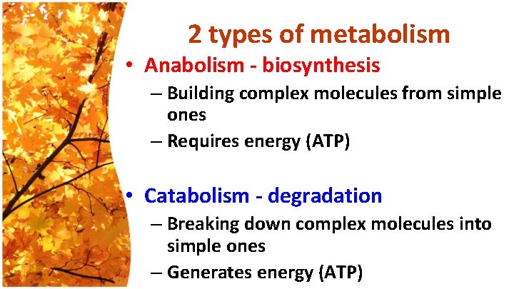 2 types of metabolism • Anabolism - biosynthesis – Building complex molecules from simple