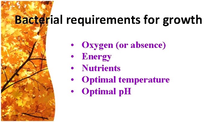 Bacterial requirements for growth • • • Oxygen (or absence) Energy Nutrients Optimal temperature