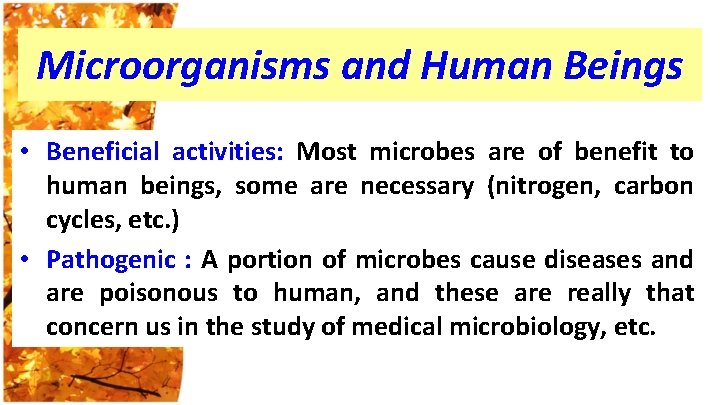 Microorganisms and Human Beings • Beneficial activities: Most microbes are of benefit to human