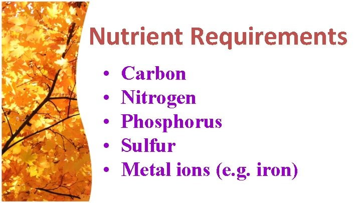 Nutrient Requirements • • • Carbon Nitrogen Phosphorus Sulfur Metal ions (e. g. iron)