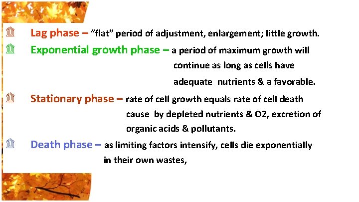 ۩ ۩ Lag phase – “flat” period of adjustment, enlargement; little growth. Exponential growth