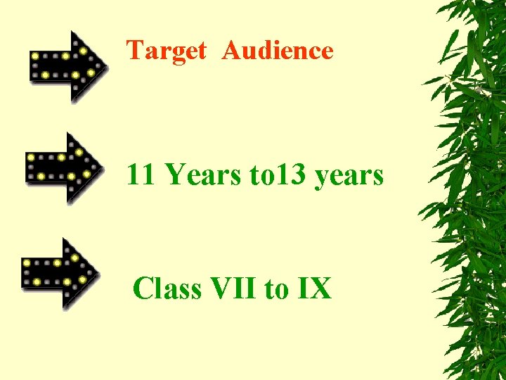 Target Audience 11 Years to 13 years Class VII to IX 